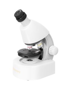 Микроскоп Micro Polar световой оптический 40 640x на 3 объектива белый Discovery
