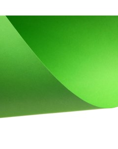 Картон цветной тонированный 420х594 мм 200 гр зеленый Лилия холдинг
