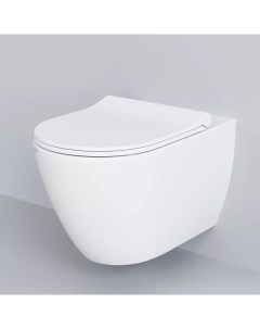 Подвесной унитаз Queen белый с сиденьем микролифт Ambassador