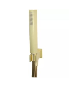 Душевой гарнитур Shower Set AC1045794 матовое золото Webert