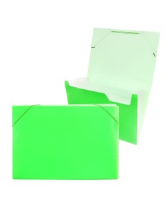 Папка картотека неон 13 отдел a4 пластик 0 7мм салатовый рез в цвет Calligrata