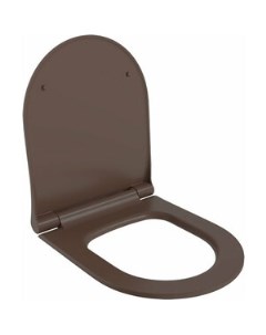 Сиденье для унитаза Abner с микролифтом матовое коричневое 102T20601S Ambassador