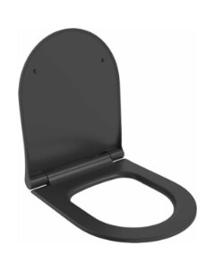 Сиденье для унитаза Abner с микролифтом матовое черное 102T20201S Ambassador