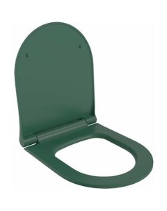 Сиденье для унитаза Abner с микролифтом матовое зеленое 102T20701S Ambassador