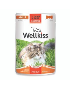 Adult Влажный корм для взрослых кошек с ягненком и говядиной в соусе 100 гр Wellkiss