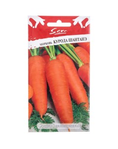 Морковь семена Русский огород