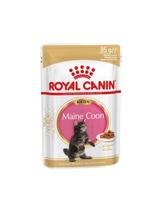Maine Coon Kitten пауч для кошек породы мейн кун кусочки в соусе Мясо 85 г Royal canin