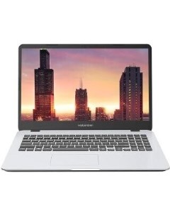 Ноутбук M543 Pro Ryzen 3 Pro 4450U 8Gb 256Gb SSD VGA int noOS silver B115A R341UMA1SLSRE2 Maibenben