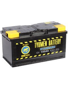 Автомобильный аккумулятор Standard 100 Ач прямая полярность L5 Tyumen battery