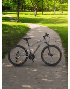 Велосипед для мальчиков Action alt 24 2024 Серый Stern