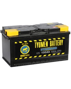 Автомобильный аккумулятор Standard 100 Ач обратная полярность L5 Tyumen battery