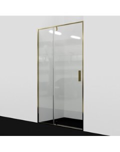 Душевая дверь Aisch 55P 90х200 прозрачная золото 55P04 Wasserkraft