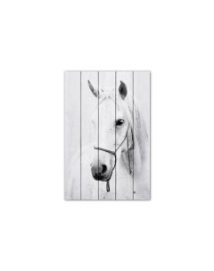 Картина на дереве Белая лошадь 2 40х60 см Белый 40 Дом корлеоне