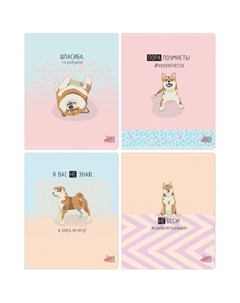 Тетрадь Пора поумнеть, 48л, А5, линия, матовая ламинация, в ассортименте Bg