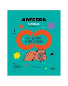 Тетрадь предметная Записки школьника - Алгебра, 40л Bg