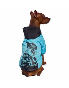 Одежда Triol (одежда)