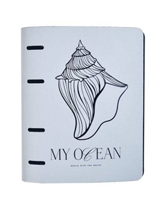 Тетрадь общая Shell, 175х212 мм, 120л, клетка, кольцевой механизм Infolio study