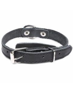 Ошейники, шлейки Триол