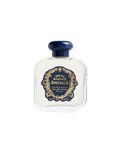 Диффузор Америка (250ml) Santa maria novella