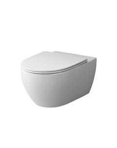 Унитаз подвесной Awe C111700SC белый, с крышкой микролифт Am.pm.