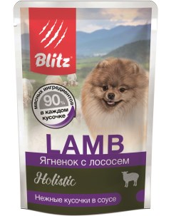 Holistic пауч для взрослых собак мелких пород (кусочки в соусе) (Ягненок и лосось, 85 г.) Blitz