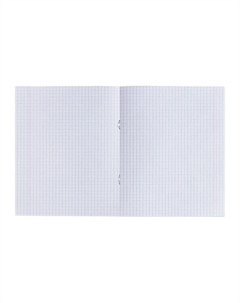 Набор тетрадей 24 листа в клетку кпк Calligrata