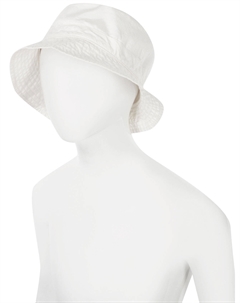 Панама Il gufo