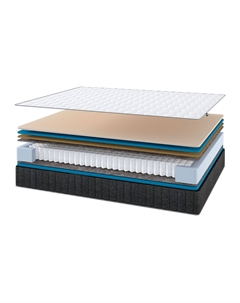 Матрас анатомический Basic Elite Darwin