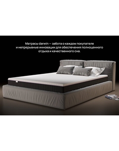 Матрас анатомический Life Spring Darwin