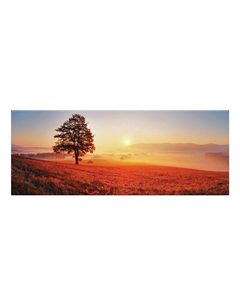 Канвас Idea Hoff