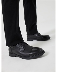 Дерби Salamander