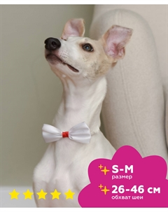 Ошейники, шлейки Tappi одежда