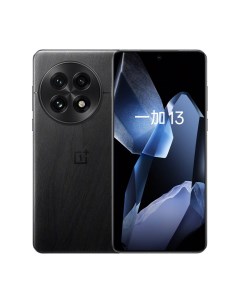Смартфон OnePlus 13, 12 ГБ/256 ГБ, 2 Nano-SIM, чёрный Oneplus