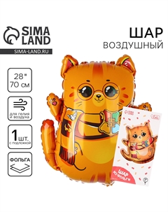 Воздушный шар фольгированный 28 Leti