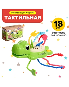 Развивающая игрушка Nobrand