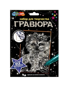 Гравюра SCRATCH-SLV1-MA15X21 Multi art