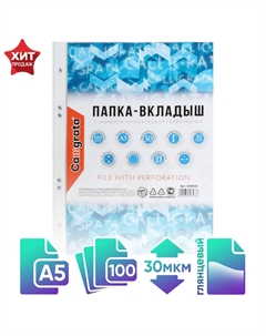Файл - вкладыш, а5, 30 мкм, глянцевый, вертикальный, 100 штук Calligrata