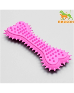 Игрушка жевательная литая Пижон