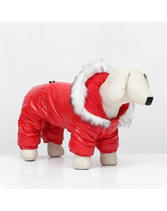 Комбинезон Nobrand