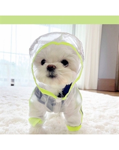 Дождевик-комбинезон для собак, р-р m (дс 30, ог 42 см, вес 5-8 кг), прозрачный-желтый Nobrand