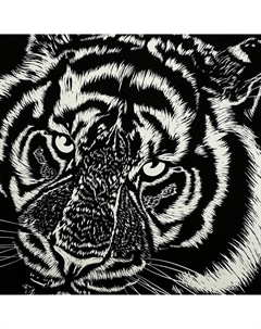 Гравюра SCRATCHART-SLV-TIGERS5 Multi art