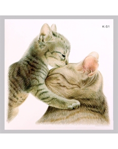 Интерьерная наклейка 3д Take it easy