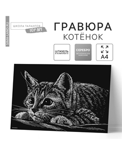 Гравюра Школа талантов