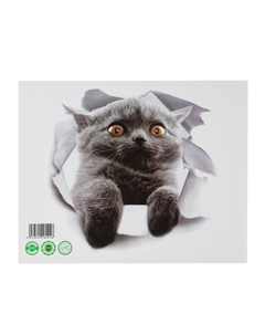 Интерьерная наклейка 3д Take it easy