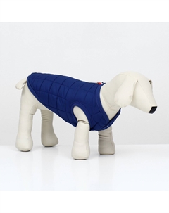 Куртка для собак Nobrand