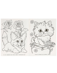Раскраска 978-5-506-09649-8 Умка