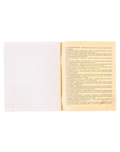 Тетрадь предметная 48 листов в линейку Calligrata