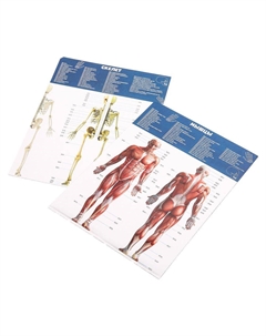 Набор для опытов, экспериментов A365-H24039-RU Iq эксперимент