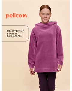 Толстовка Pelican