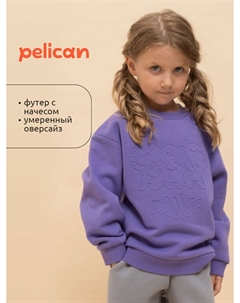 Толстовка Pelican